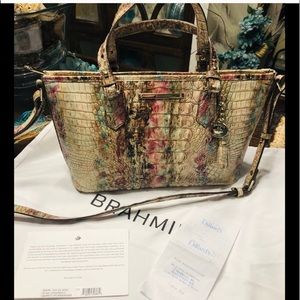 Mini Asher Amethyst with duster